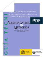 Guía Exposición A Agentes Cancerígenos