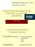 Producción de Semilla de Papa de Calidad Por Aeroponia