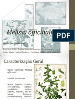 Melissa Officinalis