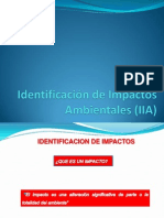 Identificación de Impacto Ambiental (IIA)