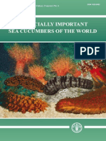 Commercially Important Sea Cucumbers of The World