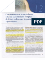 Capitulo XII Comportamiento Intracelular Retículo Endoplásmatico Complejo de Golgi Endosomas Liso