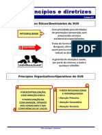 Aula 02 - Princípios e Diretrizes Do SUS