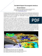 Organic-Feromagnetic Interfaces