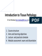 5BBB0206-Tissue Pathology - Lectures 1 - 2 9th Jan 2014