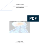 Analisis Critico Estructuralismo Funcionalismo PDF