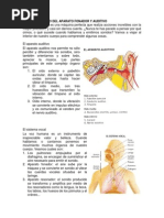 Aparato Fonador y Audicion