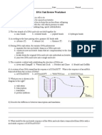 DNA Unit Review Worksheet