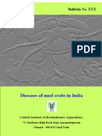 Diseases of Mud Crab in India