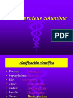 Haemoproteuscolumbae 090910044639 Phpapp01