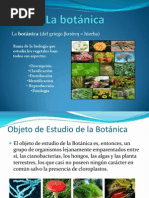 La Botánica