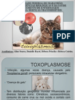 Slides para o Trabalho de DT - Toxoplasmose