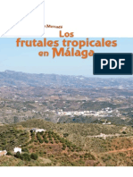 Frutales Subtropicales en Malaga