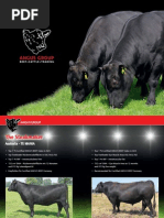 Catalog Material Seminal Angus