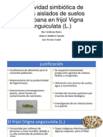 Efectividad Simbiótica de Rizobia Aislados de Suelos