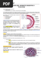 Histologia AP. Digestivo 1 - 02 de Marzo