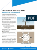 Tree Survival Watering Guide: Helping Your Tree Survive The Drought