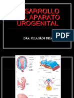 Desarrllo Aparato Urogenital San Martin