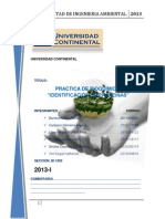 Informe de Bioquimica-Identificación de Proteinas-2013-1