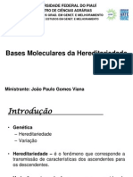 Bases Moleculares Da Hereditariedade