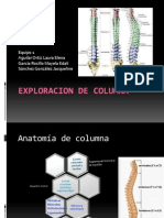 Exploracion de Columna