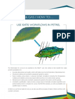 HowTo Workflow Isatis Petrel