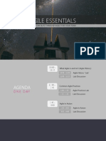 Agile Essentials: A One Day (Interactive) Blitz Into The Heart of Agile