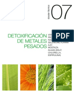 07 Detoxificación de Metales Pesados (Metal Control)