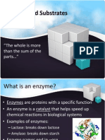 Enzymes and Substrates