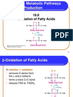 Chapter 18 Metabolic Pathways and Energy Production: 18.8 Oxidation of Fatty Acids