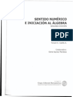 Sentido Numerico e Iniciacion Al Algebra