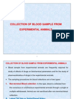 Collection of Blood Sample From Experimental Animals