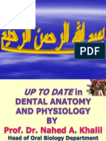 Maxillary Permanent Central Incisors