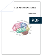 Apostila Neuroanatomia