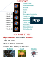 Microbes Notes