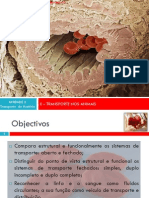 Transporte Nos Animais PDF