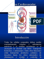 Sistema Cardiovascular