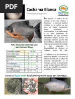 Cachama PDF