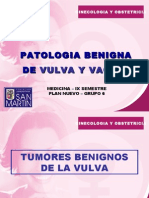 Patologia Benigna de Vulva y Vagina Grupo 6 Plan Nuevo