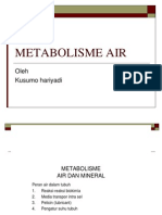 Metabolisme Air