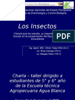 Los Insectos Charla Eta5y6