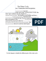 Water Cycle Lesson 3 Summative Assessment