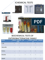 Biochemical Tests