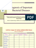 Diagnosis of Important Bacterial Diseases