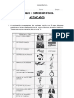 ACTIVIDADES DE CONDICIÓN FÍSICA Ficha 4