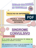 Diapos Sindrome Convulsivo