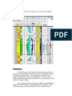 Major Steps in Well Log Studies