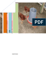 Borrador de Proyecto Animales - Gallinas