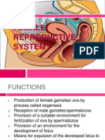 Female Reproductive System