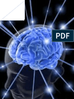 EEG Signal Processing 